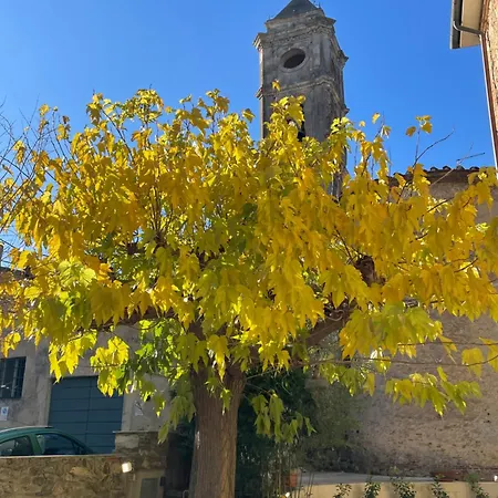 Le Giuggiole In Tuscany Usigliano